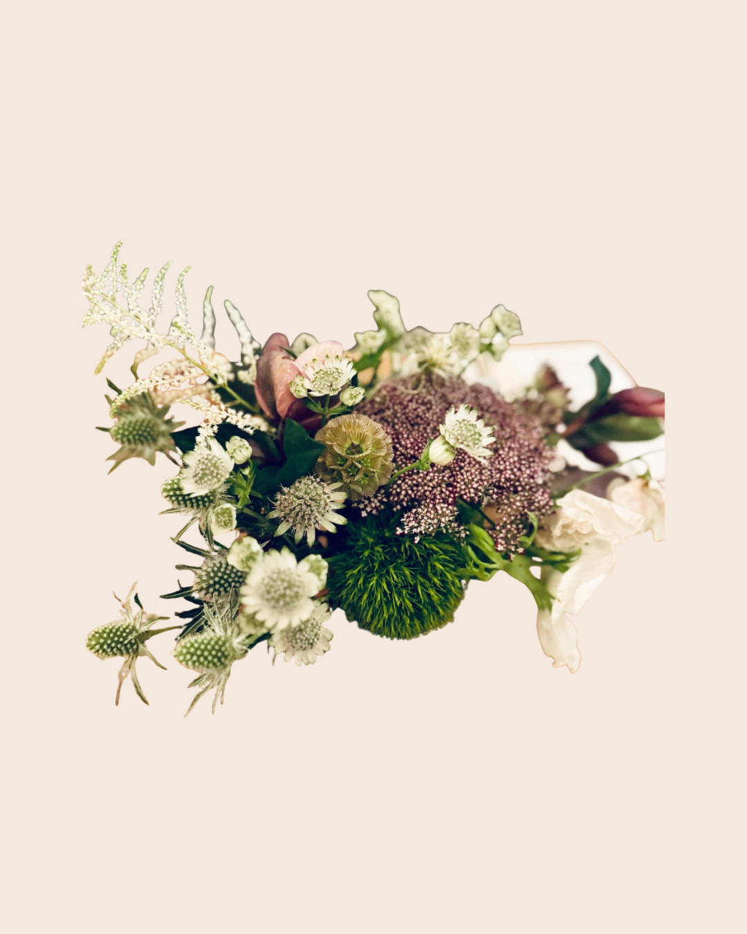 A loosely gathered bouquet of astrantia, sea holly thistles, scabiosa pods, green dianthus, and soft blooms